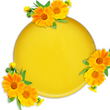 Load image into Gallery viewer, Calendula Salve - 100ml - Feelia