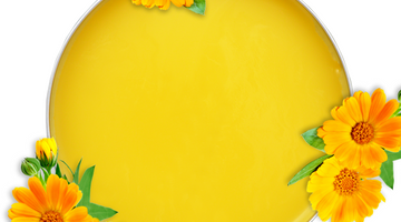 The Magic of Calendula Salve: A Must-Have for Every Home