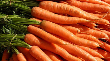 The Incredible Benefits of Organic Carrot Seed Oil