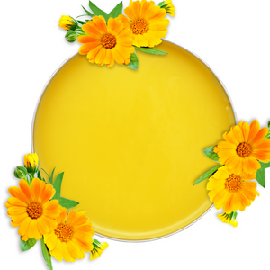 Calendula Salve - 100ml