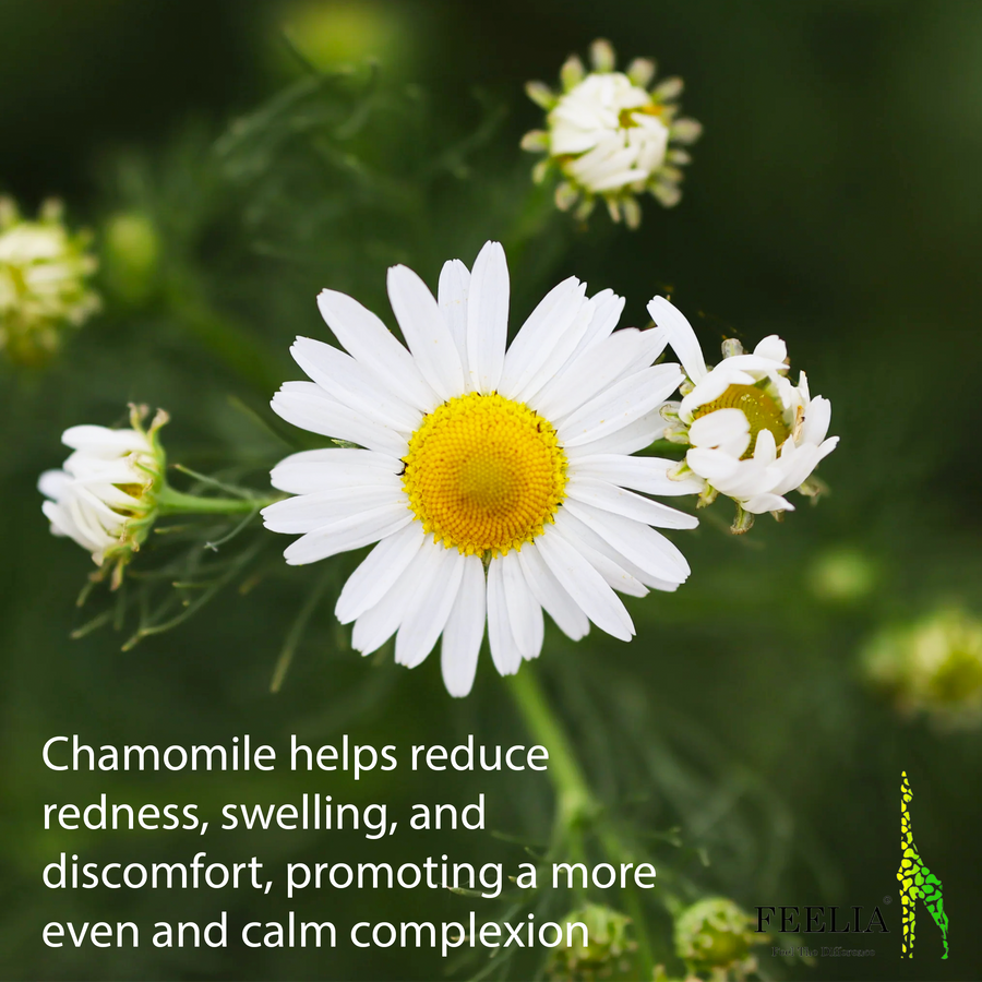 Chamomile Cream - 60ml