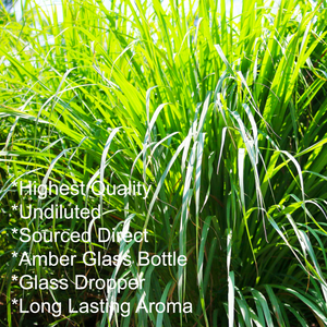 Citronella essential oil 50ml,  key points