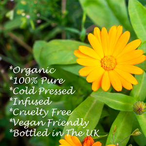 Organic Calendula 100ml, key points