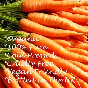 Organic Carrot seed oil, key points