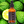 Load image into Gallery viewer, Bergamot Essential Oil - 50ml - Feelia
