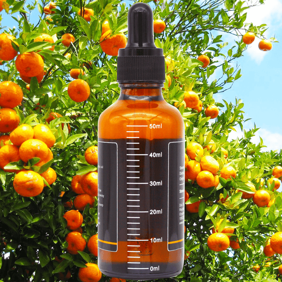 Orange (Sweet) Essential Oil in 10ml, 20ml, 50ml & 100ml
