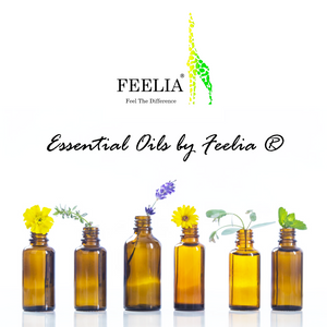 Bergamot Essential Oil - 50ml - Feelia