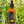 Load image into Gallery viewer, Eucalyptus Essential Oil - 50ml - Feelia
