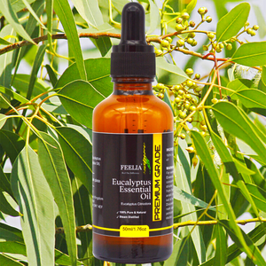 eucalyptus essential oil 50ml, with backround 