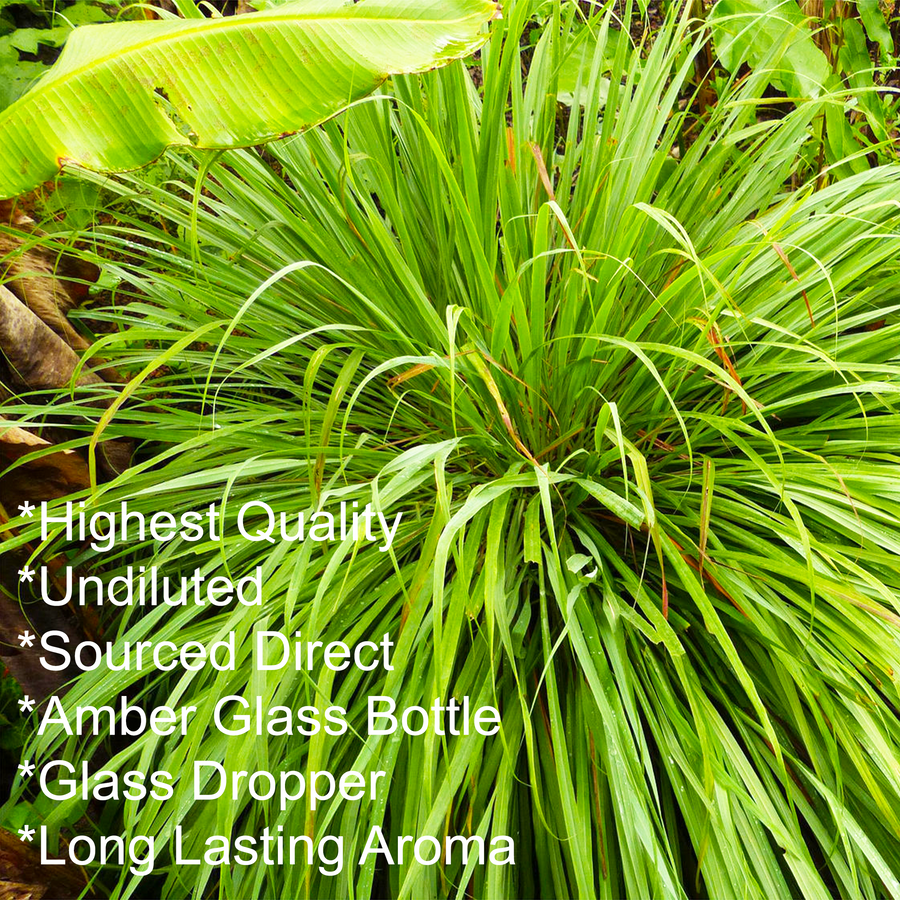 lemongrass essential oil 50ml, key points