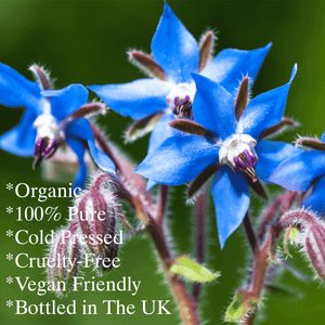 Organic Borage oil 100ml ,  key points