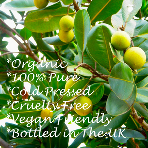 Organic Tamanu Seed Oil 100ml, key points 